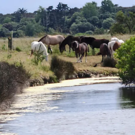 La Longere Du Marais Les Sables-dʼOlonne